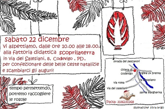 locandina24