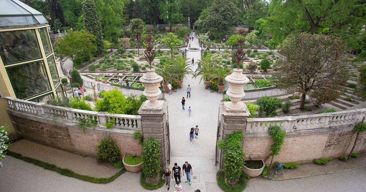 Notturni padovani: le statue del Prato della Valle e l'Orto botanico